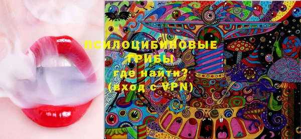 дмт Няндома