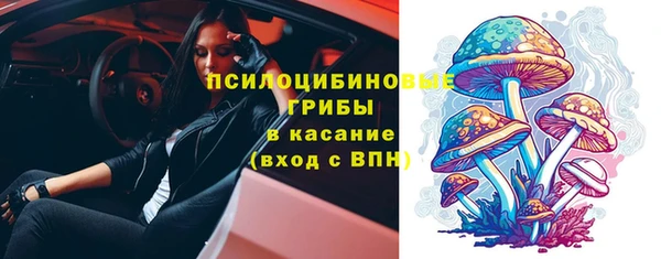 дмт Няндома